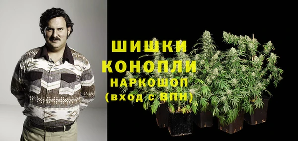 спиды Михайлов