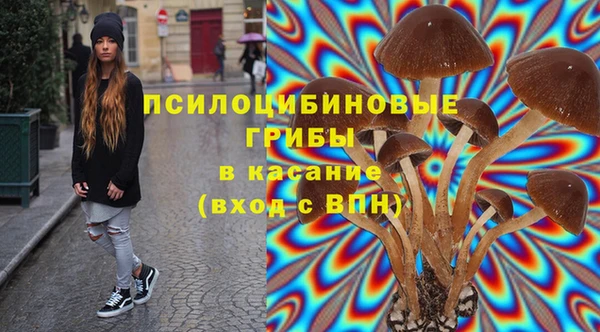 спиды Михайлов