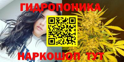 ПСИЛОЦИБИНОВЫЕ ГРИБЫ Абакан